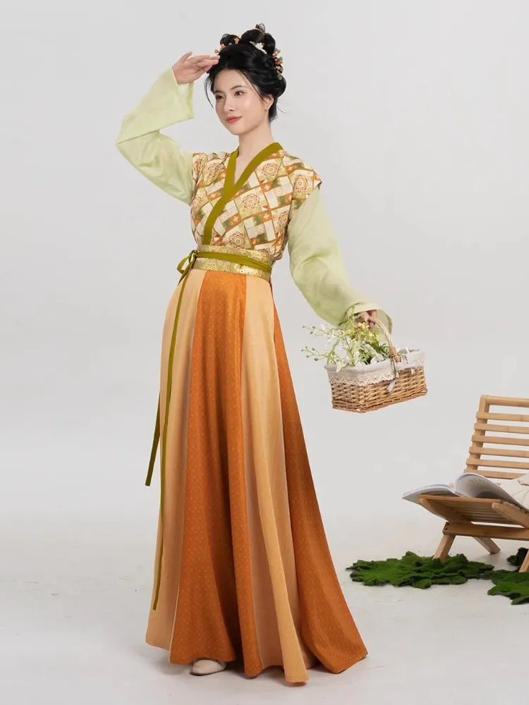 Chinese Traditional Clothing Tang Dynasty Hanfu