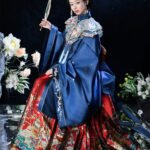 Chinese Traditional Costume Ming Dynasty Hanfu