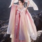 Chinese Traditional Dress for Women Embroidery Hanfu