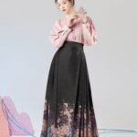 Hanfu Top and Ming Style Ma Mian Skirt Set