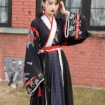 Chinese Traditional Clothing Jin Dynasty Hanfu 2 Colors