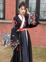Chinese Traditional Clothing Jin Dynasty Hanfu 2 Colors