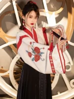 Chinese Traditional Clothing Jin Dynasty Hanfu 2 Colors - Image 2