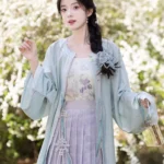 Ming Dress Chinese Style Summer Hanfu Dress
