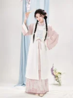Ming Dynasty Clothing Fashion Hanfu Dress Women