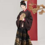 Ming Dynasty Outfit Chinese Hanfu Dress Women