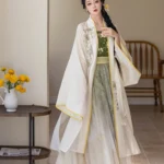 Modern Chinese Traditional Dress Song Dynasty Daily Hanfu