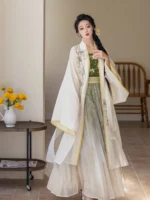 Modern Chinese Traditional Dress Song Dynasty Daily Hanfu