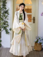 Modern Chinese Traditional Dress Song Dynasty Daily Hanfu - Image 2