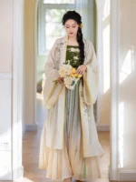 Modern Chinese Traditional Dress Song Dynasty Daily Hanfu - Image 4