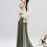 Modern Chinese Traditional Dress Song Dynasty Hanfu