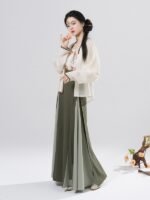 Modern Chinese Traditional Dress Song Dynasty Hanfu