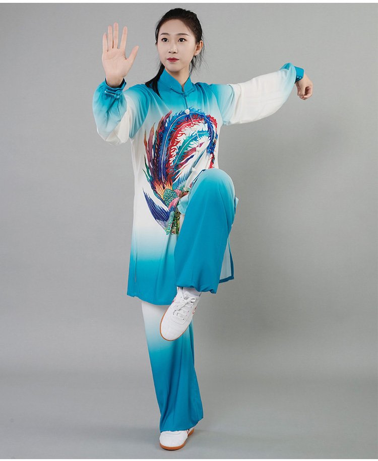 Tai Chi Practice Suit Gradient Martial Arts Clothing