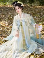 Tang Dynasty Chinese Hanfu Wome Embroidery Dress - Image 2