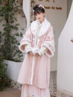 Traditional Chinese Dresses for Women Song Hanfu Winter