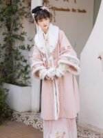 Traditional Chinese Dresses for Women Song Hanfu Winter - Image 2