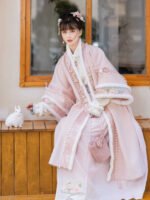 Traditional Chinese Dresses for Women Song Hanfu Winter - Image 3