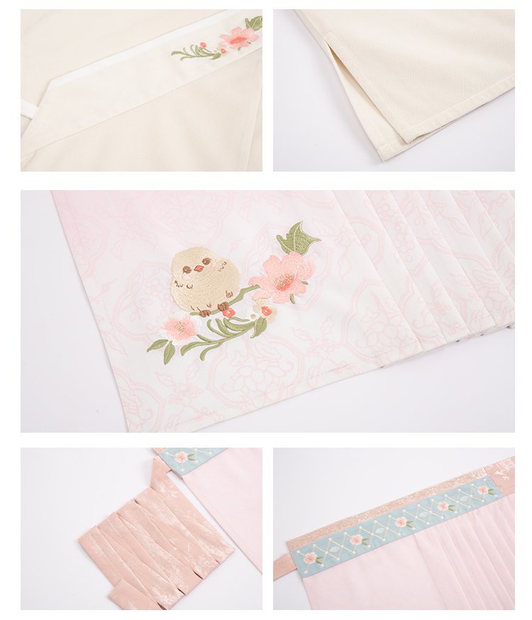 Traditional Chinese Dresses for Women Song Hanfu Winter