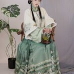 Traditional Chinese Winter Clothing Ming Dynasty Hanfu