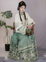 Traditional Chinese Winter Clothing Ming Dynasty Hanfu