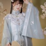 Fashion Hanfu Chinese Clothing Female Ming Dynasty Hanfu Dress