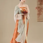 Chinese Dress Ancient Costume Tang Dynasty Hanfu Dress
