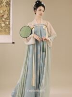 Chinese Dress Ancient Costume Tang Dynasty Hanfu Dress - Image 2