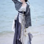 Daily Chinese Outfit Song Style Modern Hanfu Dress
