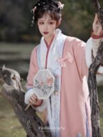Fashion Hanfu Chinese Traditional Clothes Hanfu Clothing Winter - Image 3