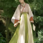 Fashion Hanfu Chinese Traditional Dress Hanfu Clothing Female