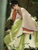 Fashion Hanfu Chinese Traditional Dress Hanfu Clothing Female - Image 2