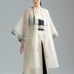Fashion Hanfu Ancient Chinese Outfits Modern Hanfu Dress