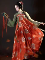 Chinese Traditional Clothing Tang Hanfu Dress Female