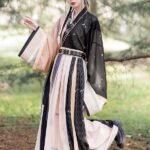 Traditional Chinese Costume Jin Dynasty Hanfu Dress