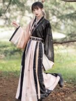 Traditional Chinese Costume Jin Dynasty Hanfu Dress
