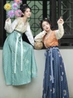 Chinese Traditional Clothing Han Dynasty Hanfu Female - Image 2