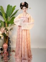 Tang Dynasty Hanfu Dress – Pink Ruqun Traditional Chinese Outfit with Shawl - Image 3