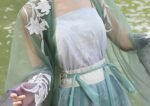 Embroidered Hanfu Dress – Fairy Style Flowing Chinese Outfit Set - Image 6