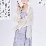 Fashion Hanfu Modern Chinese Clothing Hanfu Dress Female