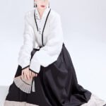 Women’s Embroidery Modern Chinese Dress Fashion Hanfu Dress