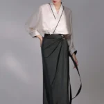 Modern Chinese Hanfu Fashion Hanfu Dress