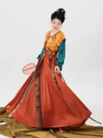 Tang Dynasty Hanfu Set Traditional Chinese Outfit Women