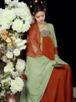 Tang Dynasty Chinese Traditional Dress Embroidered Hanfu Dress