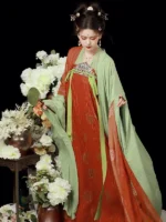 Tang Dynasty Chinese Traditional Dress Embroidered Hanfu Dress - Image 2
