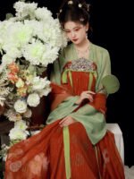 Tang Dynasty Chinese Traditional Dress Embroidered Hanfu Dress - Image 3