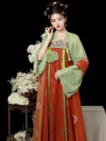 Tang Dynasty Chinese Traditional Dress Embroidered Hanfu Dress - Image 4