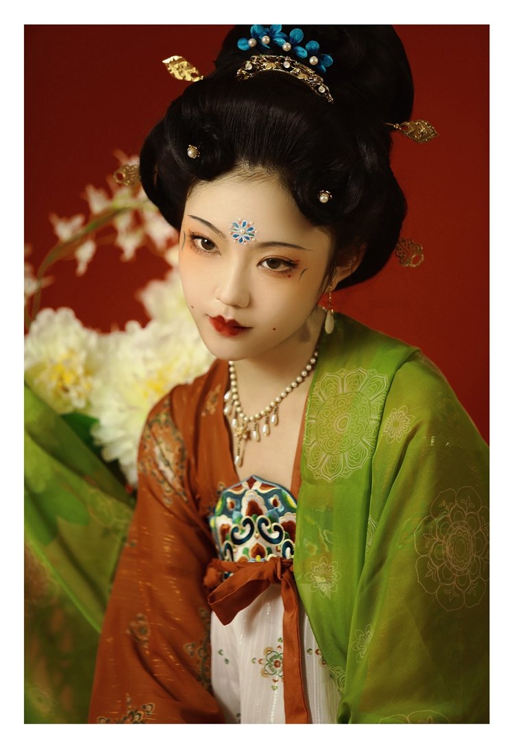 Tang Dynasty Cosume Hanfu Dress