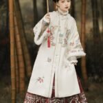 Traditional Chinese Dress Hanfu Ming Dynasty Dress