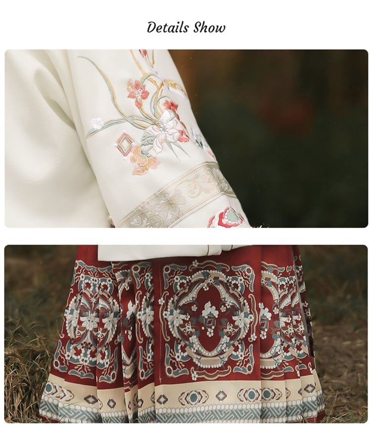 Traditional Chinese Dress Hanfu